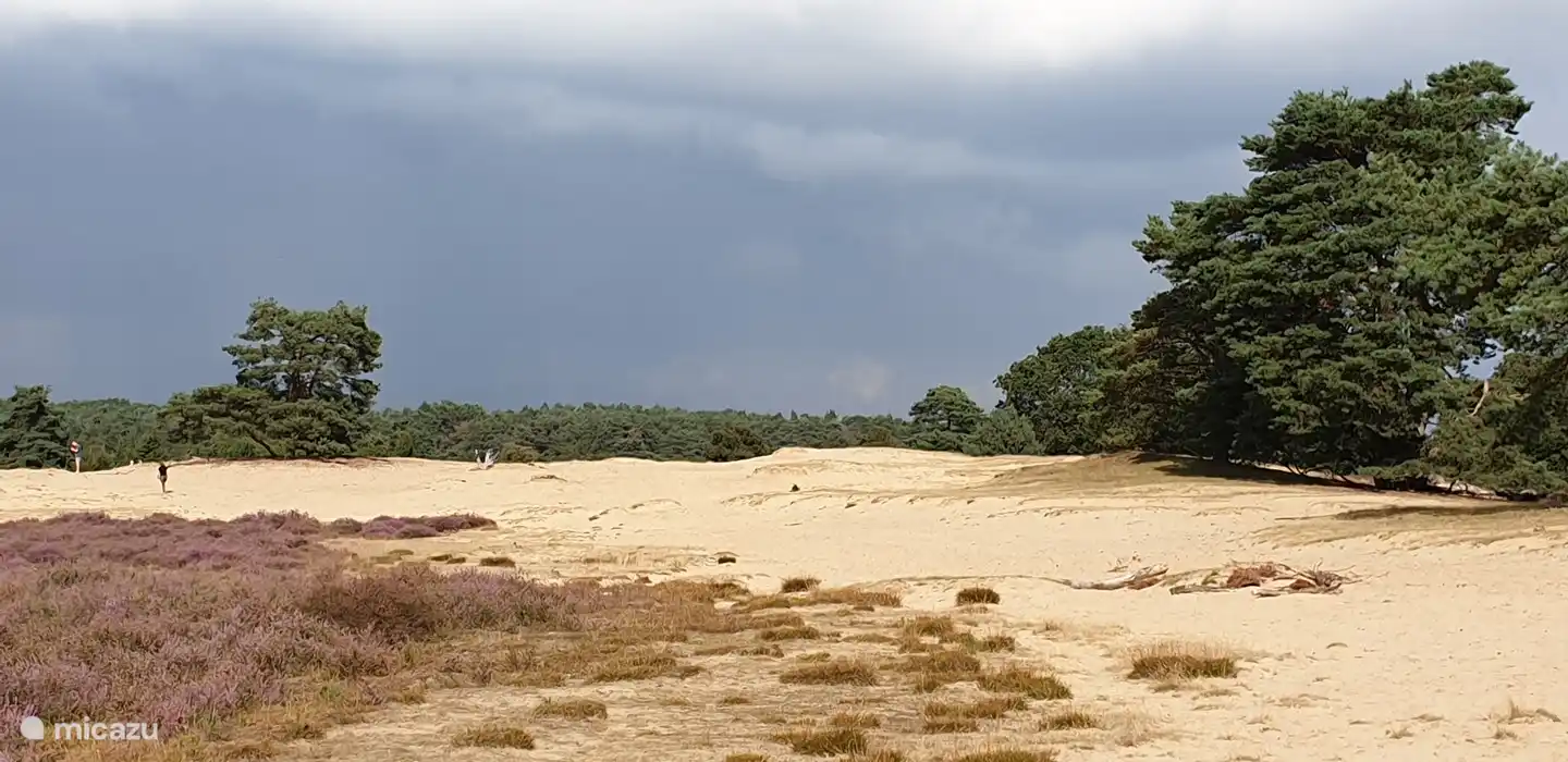 Arenas flotan a 2 km de distancia