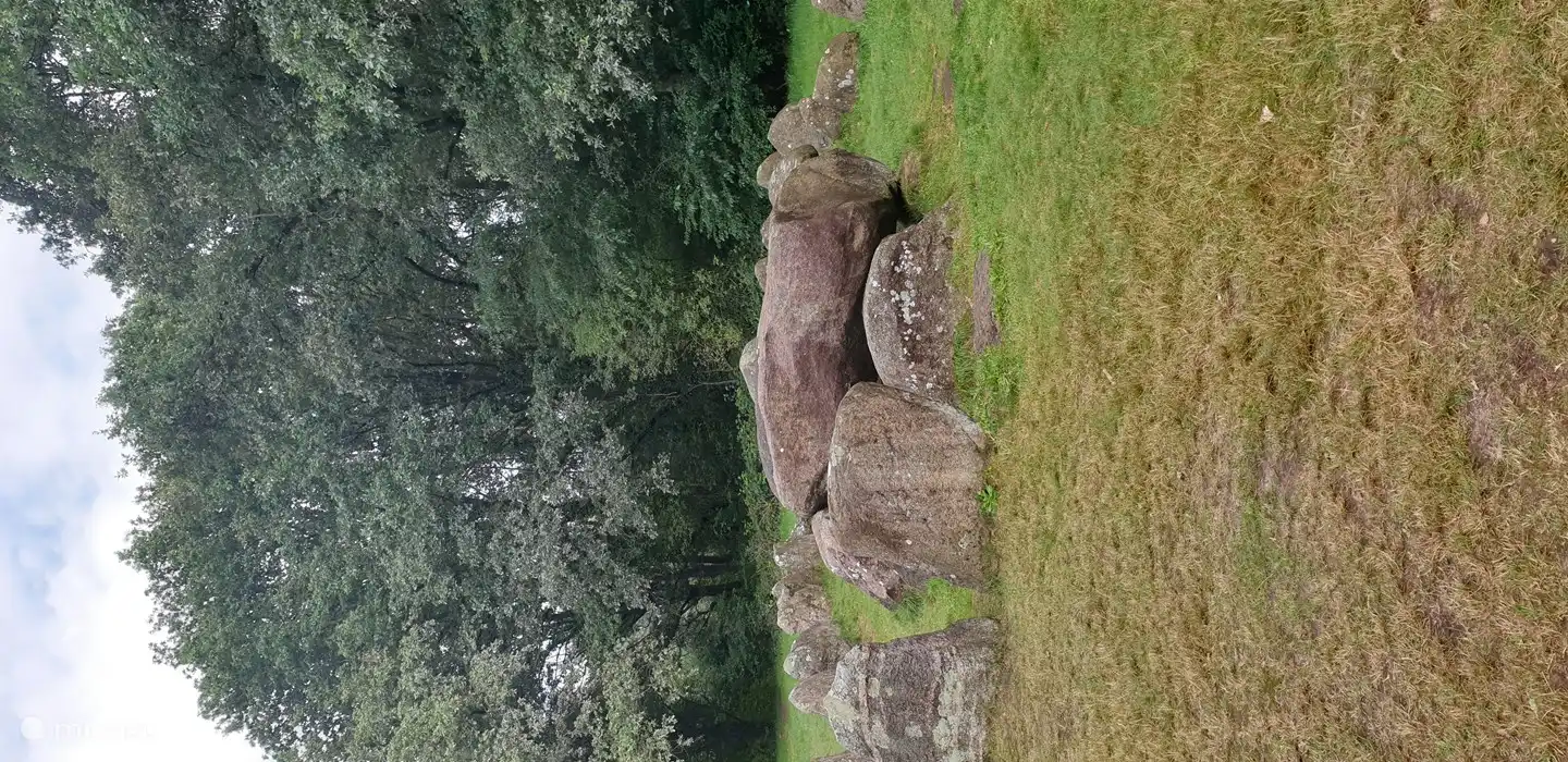 Dolmen D 19