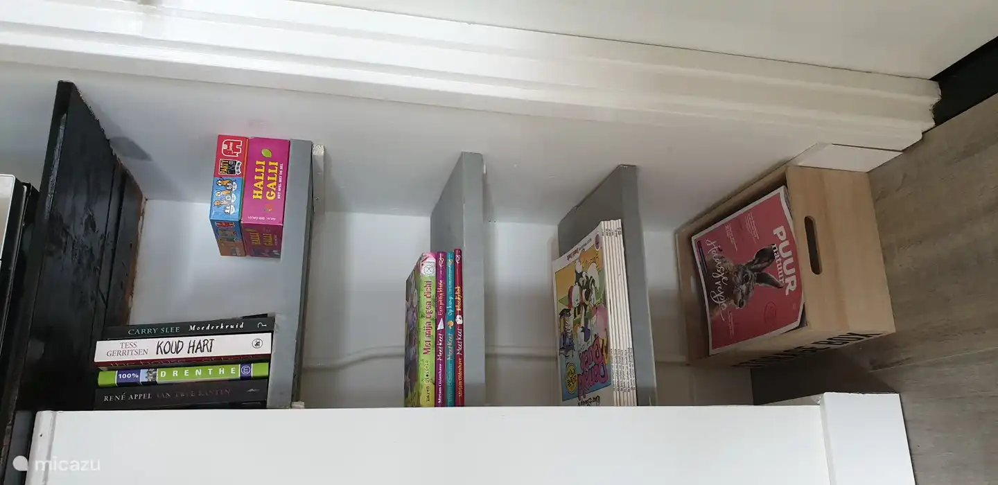 Estantería en el salón