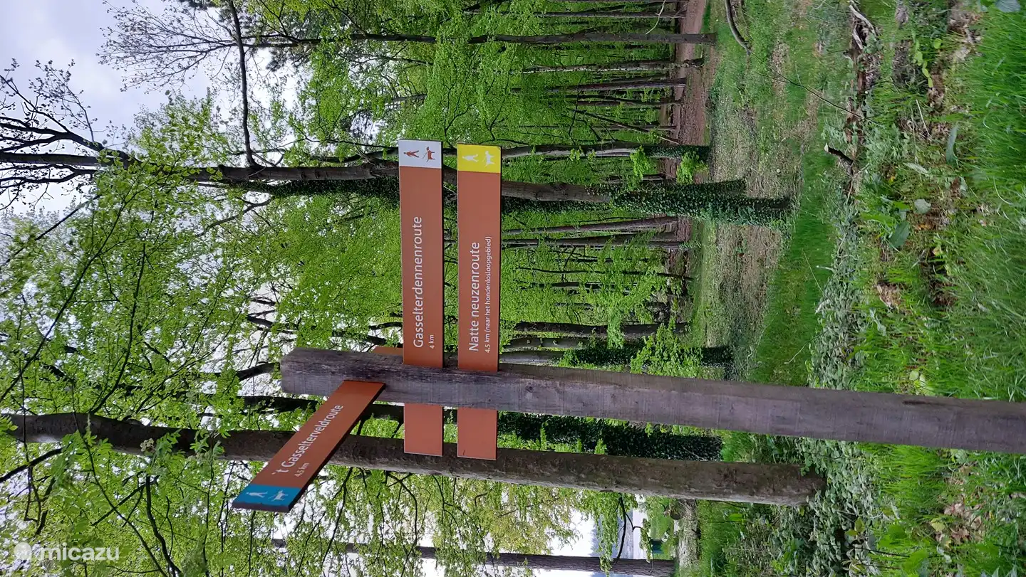 Senderos de senderismo hermosos