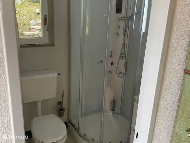 Chalet Belle Hélène | Suisse, Valais, Fiesch - chalet La douche à vapeur de massage avec douche à effet pluie, douchette, vapeur, jets de massage, lumières et dent bleue pour jouer votre musique préférée tout en profitant.