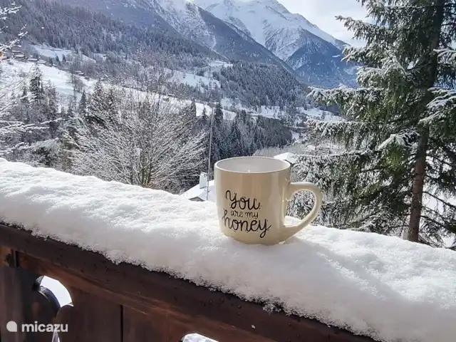Chalet Belle Hélène | Suisse, Valais, Fiesch - chalet Véranda avec vue sur la Vallée du Rhône