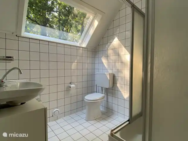 Boshuis huren in Nederland, Drenthe, Wateren - vakantiehuis De badkamer op de tweede verdieping heeft een douche, een toilet en een wastafel.