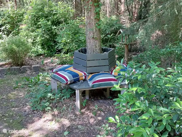 Boshuis huren in Nederland, Drenthe, Wateren - vakantiehuis 6 volwassen zitplaatsen biedt dit boombankje. Maar enkele kleinkinderen kunnen en nog makkelijk bij.