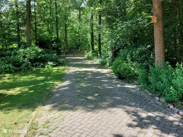 Boshuis huren in Nederland, Drenthe, Wateren - vakantiehuis Door de lange oprit zit je op het terras heerlijk privé. Vanaf het hek heb je niet snel bekijks omdat er een grote boom voor staat. Het terrein is geheel omheind, dus de kinderen en de huisdieren blijven gemakkelijk in de tuin.