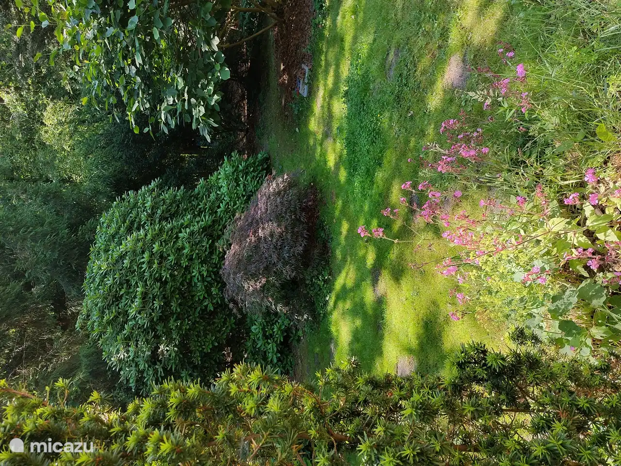 Das ist die Aussicht vom Frühstückstisch draußen.