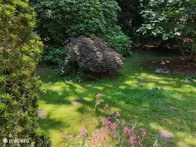 Boshuis huren in Nederland, Drenthe, Wateren - vakantiehuis Dit is het uitzicht vanaf de ontbijttafel buiten.