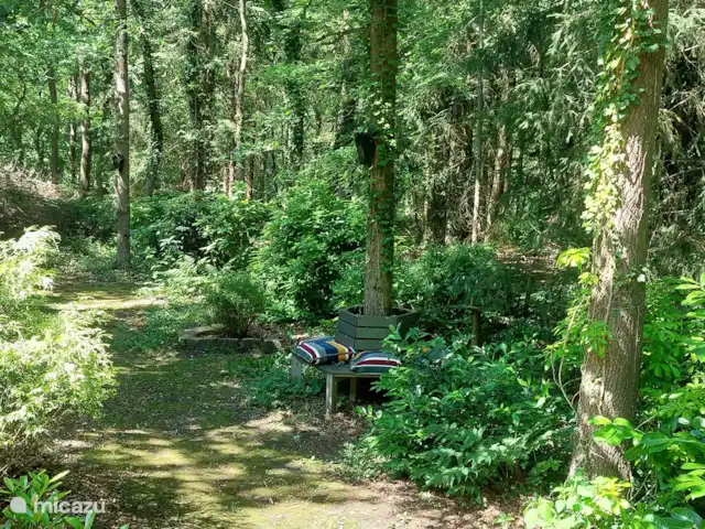 Boshuis huren in Nederland, Drenthe, Wateren - vakantiehuis Dit boombankje staat aan de keukenzijde, de schaduwkant. Tegen 15.00 uur 's middag kun je er een mild zonnetje verwachten.