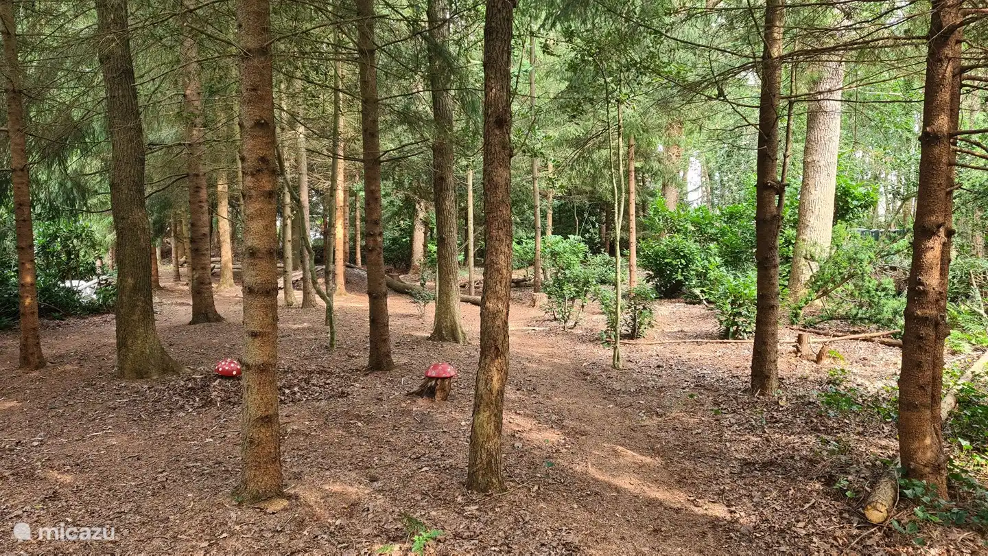 Neben diesem Waldstück steht das Spielhaus. Hier können die Kinder klettern und über den Berg rennen. Auch den Ball werfen, ohne gleich die Gläser auf den Tisch zu werfen.