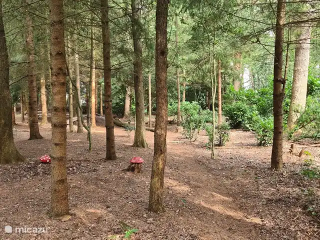 Boshuis huren in Nederland, Drenthe, Wateren - vakantiehuis Naast dit stukje bos staat het speelhuisje. Hier kunnen de kinderen klimmen en over het bergje heenrennen. Ook met de bal overgooien zonder dat het direct de glazen op de tafel omgooit.