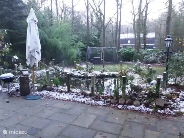 Boshuis huren in Nederland, Drenthe, Wateren - vakantiehuis Ook in de winter is de tuin nog grotendeels groen.