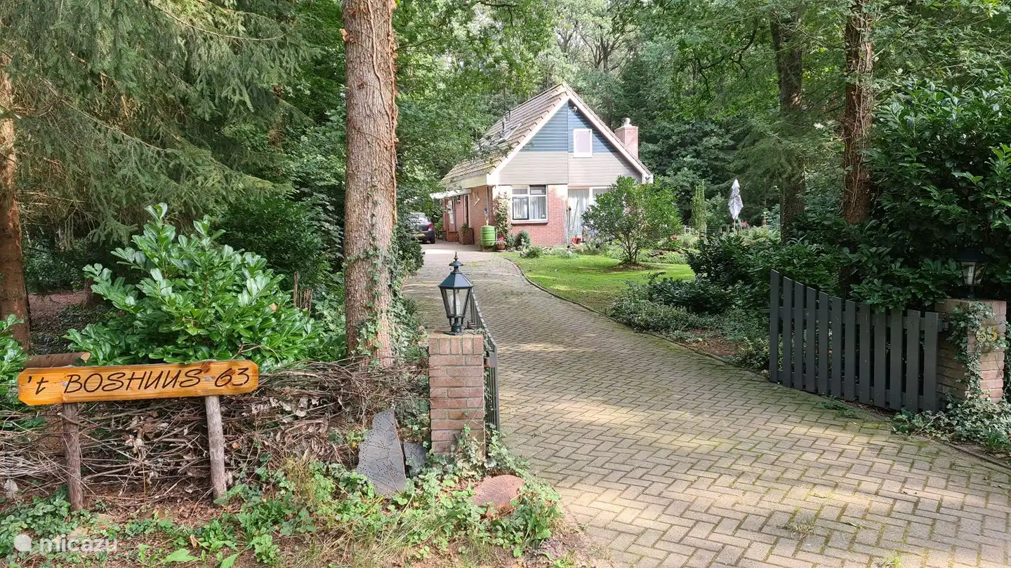Im Teich vor dem Haus kommen viele Vögel, um zu baden oder Wasser zu trinken. Die Grasschlange (klein und harmlos) kommt regelmäßig, um einen Frosch zu essen und dann eine Pause in der Sonne auf den Felsen zu machen.