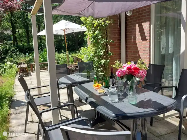 Boshuis huren in Nederland, Drenthe, Wateren - vakantiehuis Deze zithoek heeft 10 terrasstoelen. Er hangen 2 luifels boven die dienst kunnen doen als zonwering, maar kan ook dienen als windscherm. Net hoe het weertype die dag is. Zo hoef je met een beetje regen niet direct op te breken. De ochtendzon staat hier al vroeg, een heerlijke ontbijtplek!