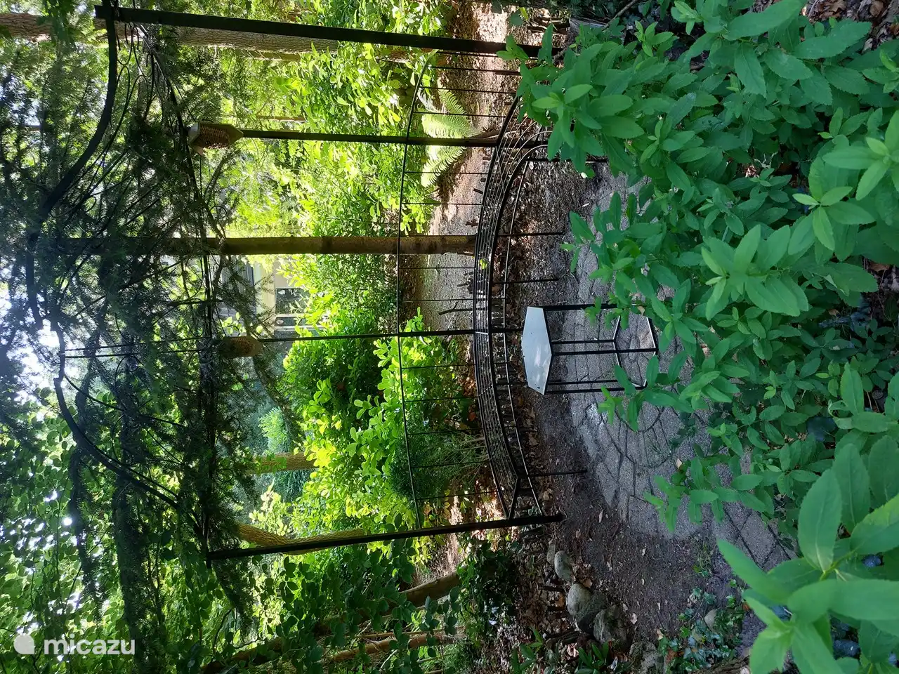 Auf dieser Bank können Sie den Garten weitgehend aus dem Schatten überblicken.