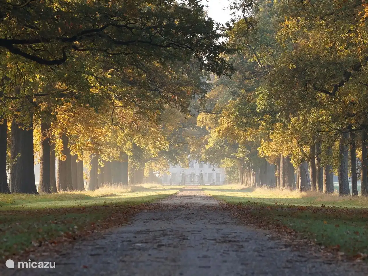 L'allée de Huize Singraven. Ici, vous pouvez vous promener dans le jardin ou visiter la maison. La maison de vacances est située en bordure de ce domaine.