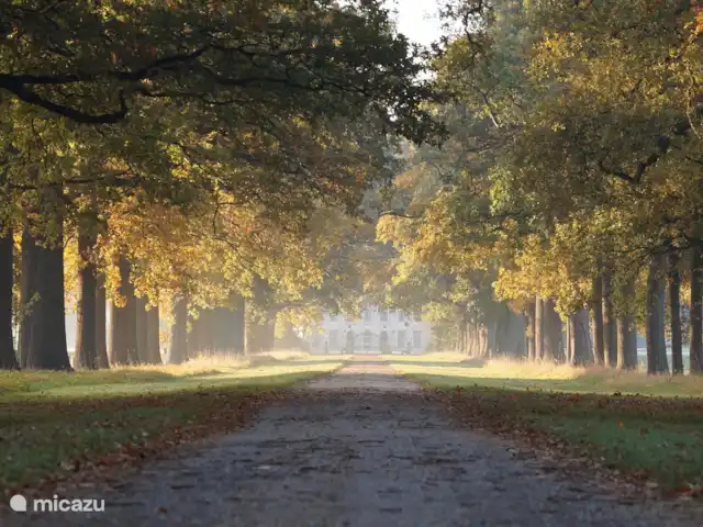 Vakantiehuis de Kampstede huren in Nederland, Overijssel, Denekamp - appartement De oprijlaan van Huize Singraven. U kunt hier door de tuin wandelen of het huis bezichtigen. Het vakantiehuis bevindt zich aan de rand van dit landgoed.