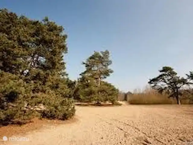Vakantiehuis de Kampstede huren in Nederland, Overijssel, Denekamp - appartement Natuurgebied Lutterzand, op circa 8 km afstand. Prachtige wandelingen en fietsroutes.