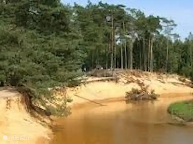 Vakantiehuis de Kampstede huren in Nederland, Overijssel, Denekamp - appartement Natuurgebied Lutterzand, waar de rivier de Dinkel (die ook naast het vakantiehuisje loopt) doorheen kronkelt.