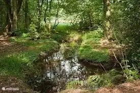 Réserve naturelle du Springendal, près d'Ootmarsum. Aussi une belle région pour la marche et le vélo.