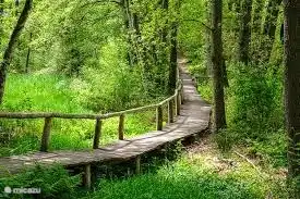 Réserve naturelle de Springendal.