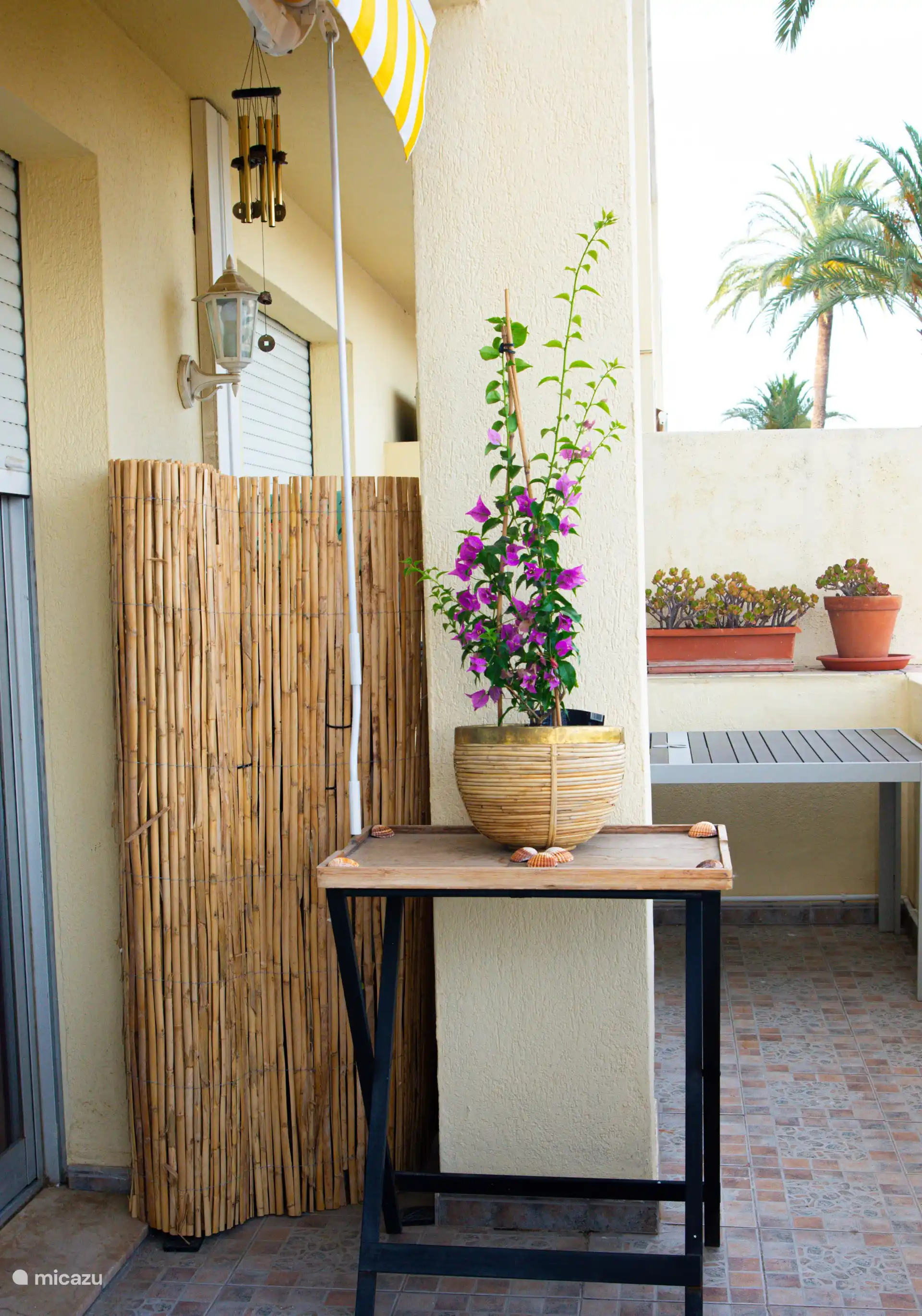 Terraza