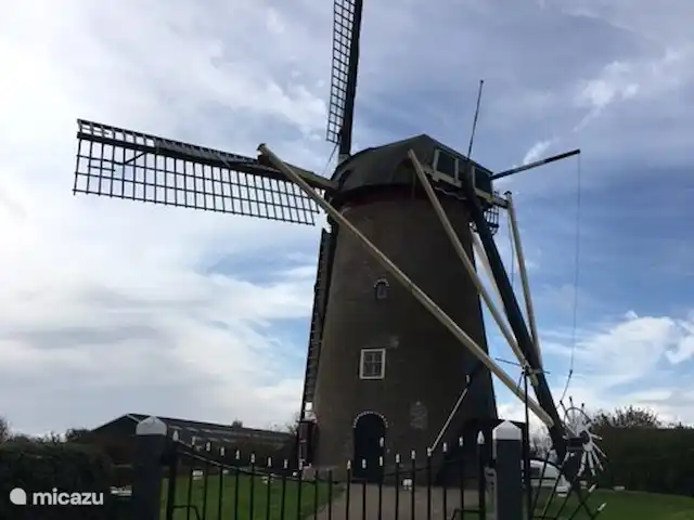 De Goede Ree 37 | Pays-Bas, Hollande méridionale, Goedereede - chalet Moulin à vent moulin à vent. Cela peut être visualisé.