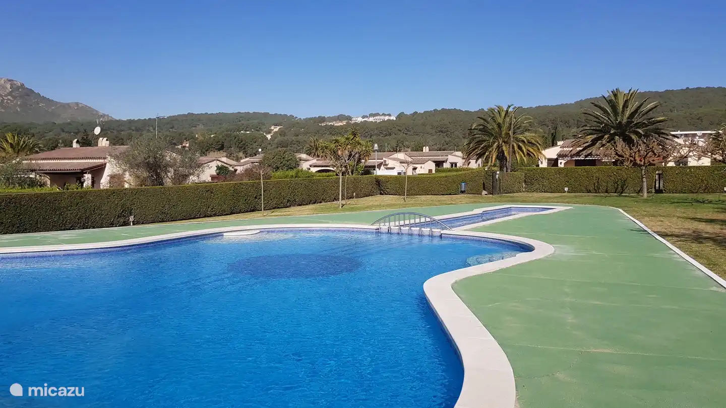 Swimming pool with a view