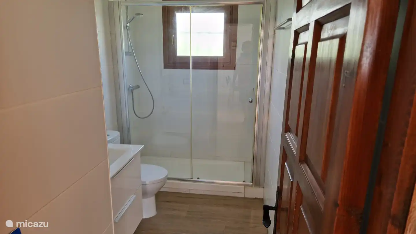 Washbasin and shower (walk-in type)