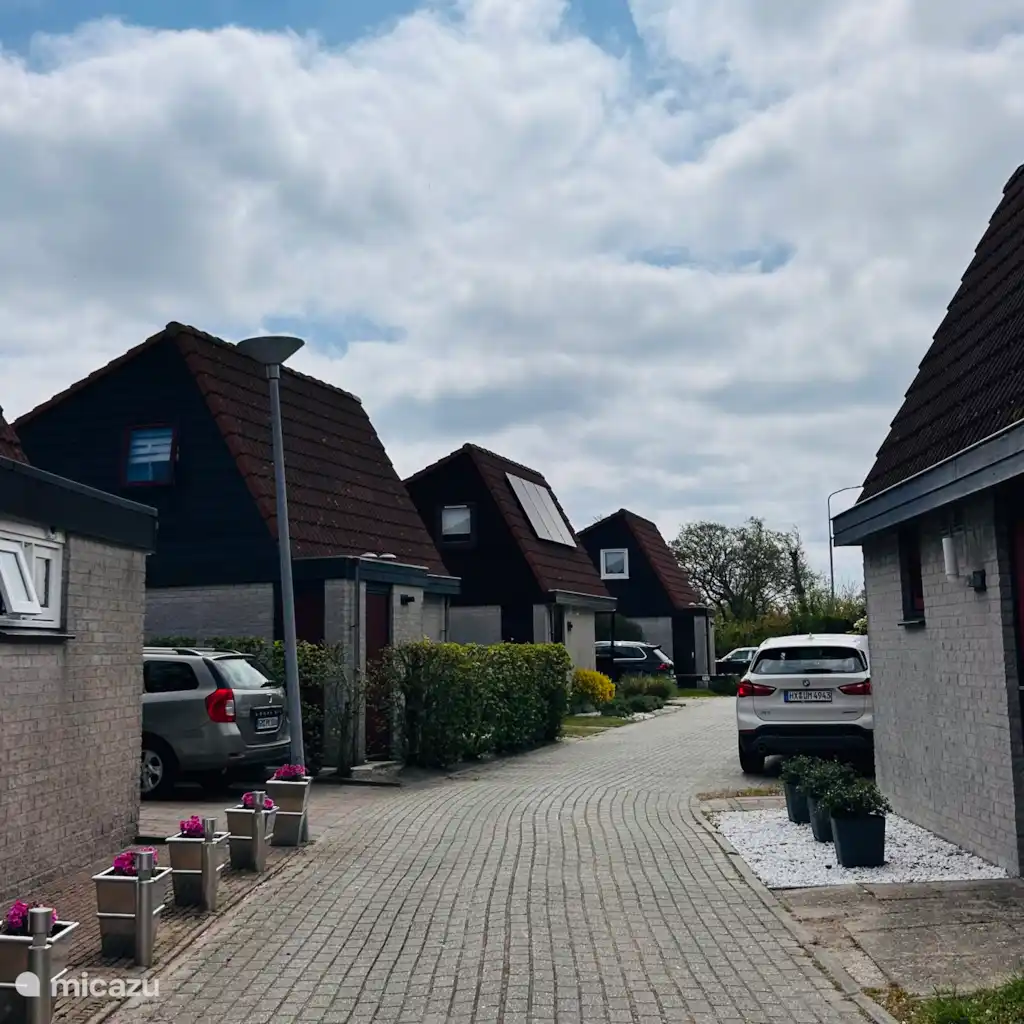 Het Coraaltje