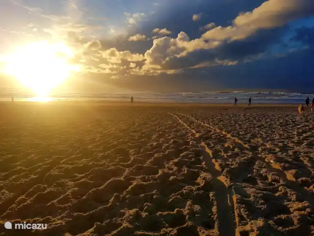 Het Coraaltje huren in Nederland, Noord-Holland, Julianadorp aan Zee - vakantiehuis strand