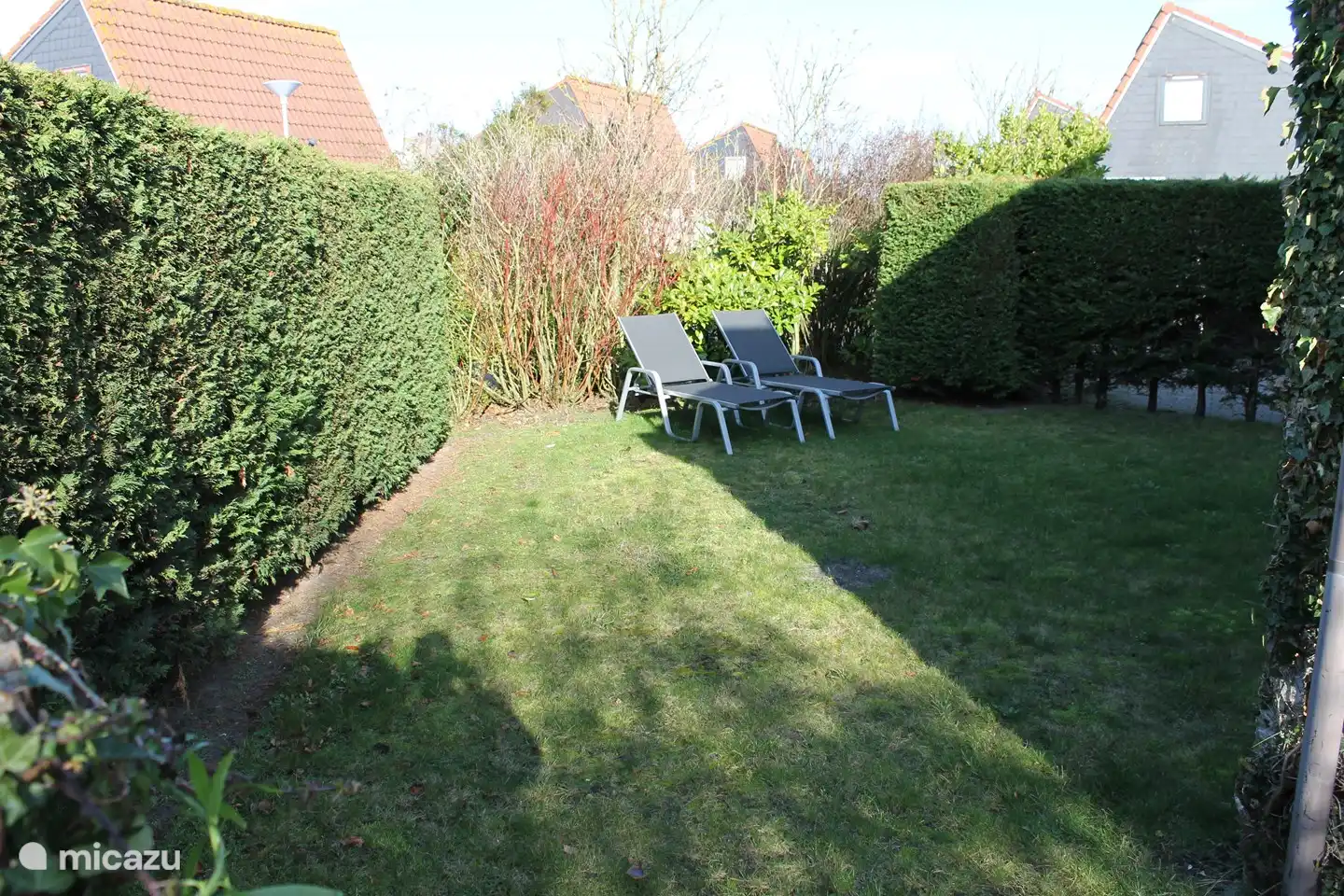 Entspannen Sie sich in der Sonne im Garten.