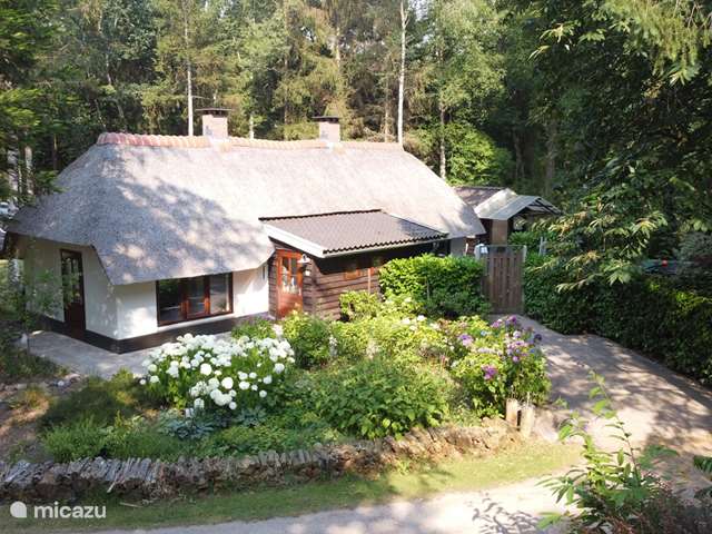 Holiday home in Netherlands, Gelderland, Wissel - holiday house Holiday home on the Veluwe