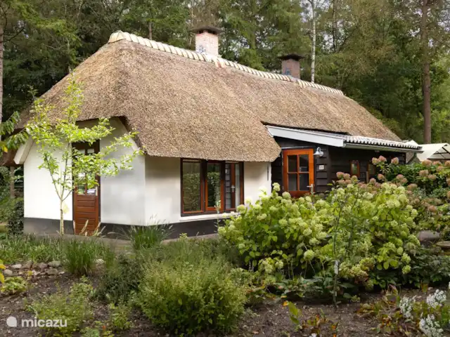Vakantiehuisje Op De Veluwe In Gelderland Boek Je Voordelig Bij Micazu vakantiehuisje-op-de-veluwe-in-gelderland-boek-je-voordelig-bij-micazu