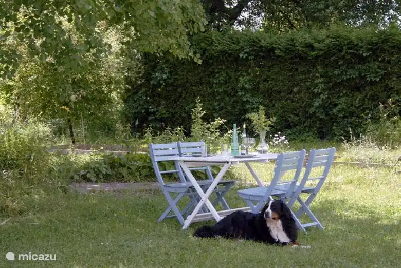 Het pand is vrijstaand, met een grote tuin (1750 m2) grenzend aan het bos.