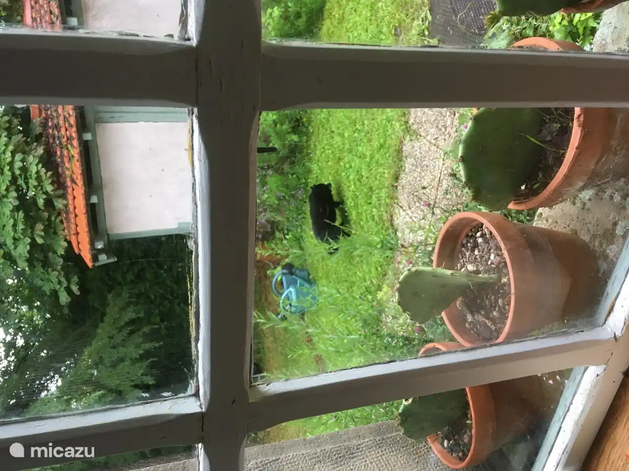 Zicht vanuit het keukenraam. 