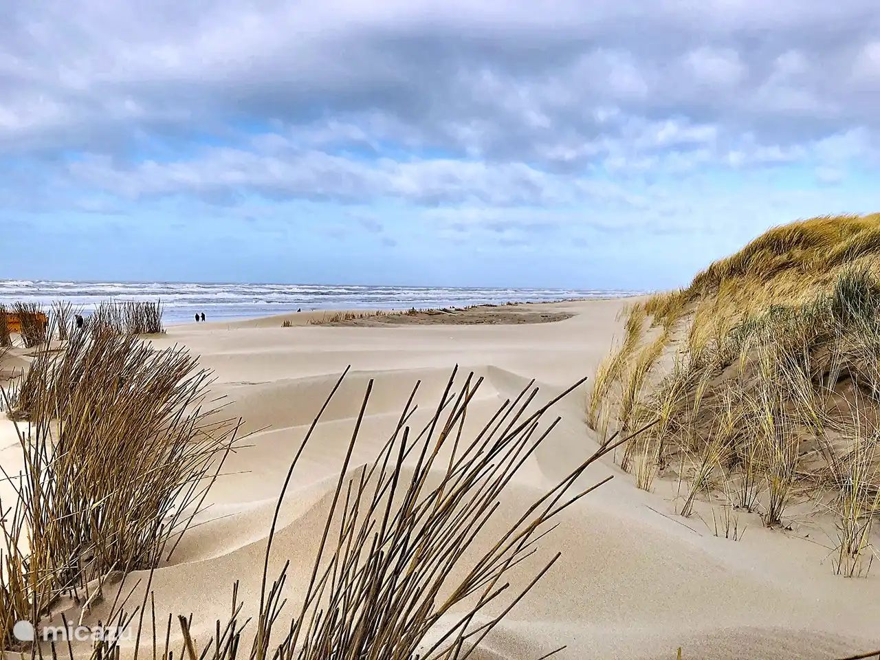 Dunes, plage et mer