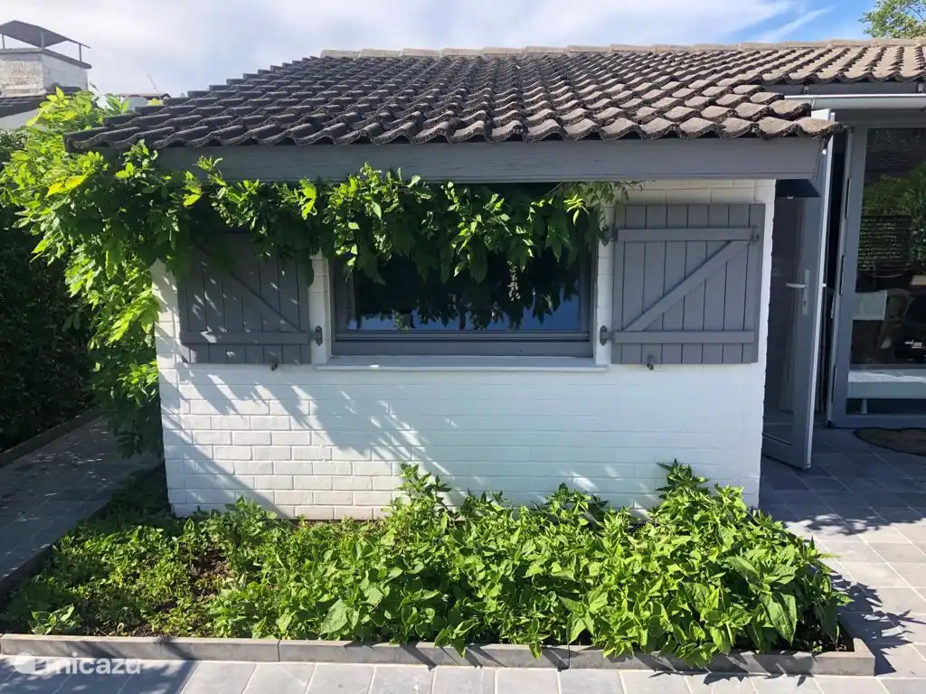 La gran terraza (80 m²) con carácter verde