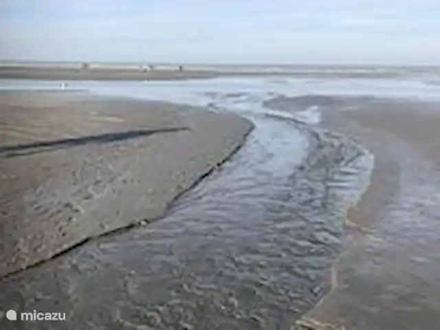 Het Coincidence: un oasis de paz en Bélgica, Costa Belga, Oostduinkerke - casa vacacional El mar del Norte