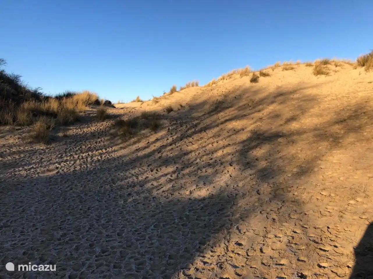 Las dunas de Oostduinkerke