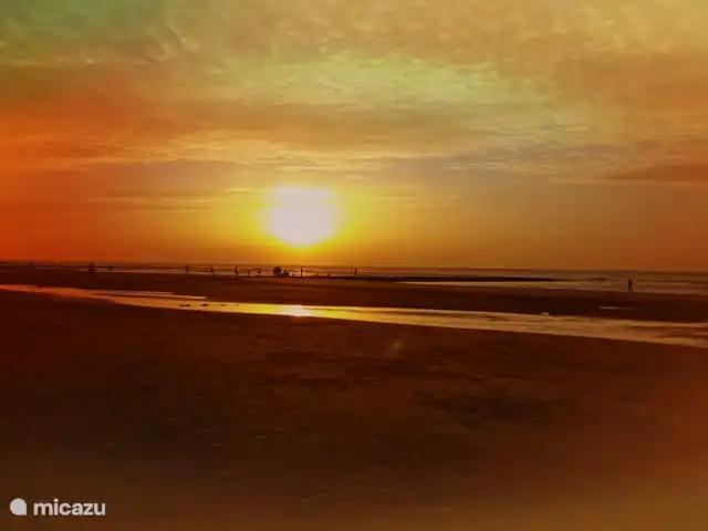 Location de Vacances Pays-Bas, Hollande du Nord, Julianadorp aan Zee, bungalow - De Gele Tulp Le soir, nous regardons le coucher du soleil.
