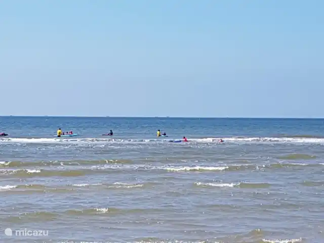 Albatros 51 Julianadorp aan Zee huren in Nederland, Noord-Holland, Julianadorp aan Zee - bungalow Volg surflessen op het strand van Julianadorp aan Zee.