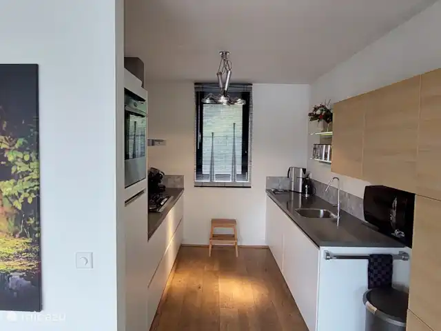 Casa de vacaciones Twente en Países Bajos, Overijssel, Westerhaar - villa La cocina está bien equipada con electrodomésticos y utensilios.