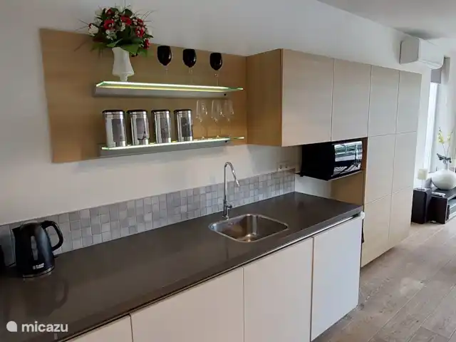 Casa de vacaciones Twente en Países Bajos, Overijssel, Westerhaar - villa