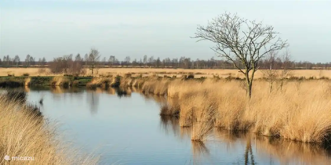 A proximité du parc se trouve la réserve naturelle Engbertsdijksvenen où vous pourrez vous promener dans les tourbières surélevées de la région de Twente-Salland.