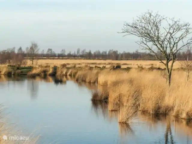Casa de vacaciones Twente en Países Bajos, Overijssel, Westerhaar - villa Cerca del parque se encuentra la reserva natural Engbertsdijksvenen, donde se puede caminar por la zona de turberas elevadas de la región de Twente-Salland.