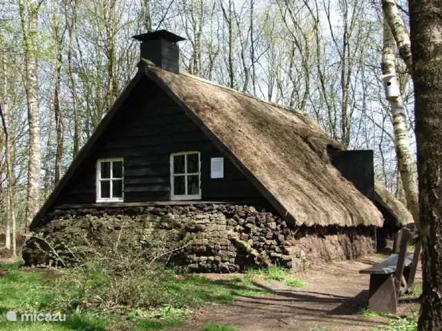 Casa de vacaciones Twente en Países Bajos, Overijssel, Westerhaar - villa Si quieres saber más sobre la historia de la región, visita el Museo Veen, situado a poca distancia en bicicleta.