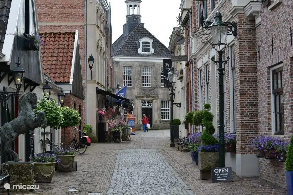 ou visitez des villes culturelles historiques telles que Ootmarsum