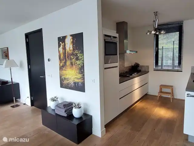 Casa de vacaciones Twente en Países Bajos, Overijssel, Westerhaar - villa La amplia cocina equipada está conectada directamente con la sala de estar.