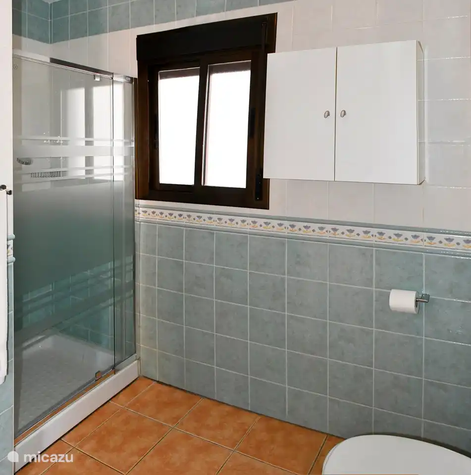 Badkamer 1 met douche.