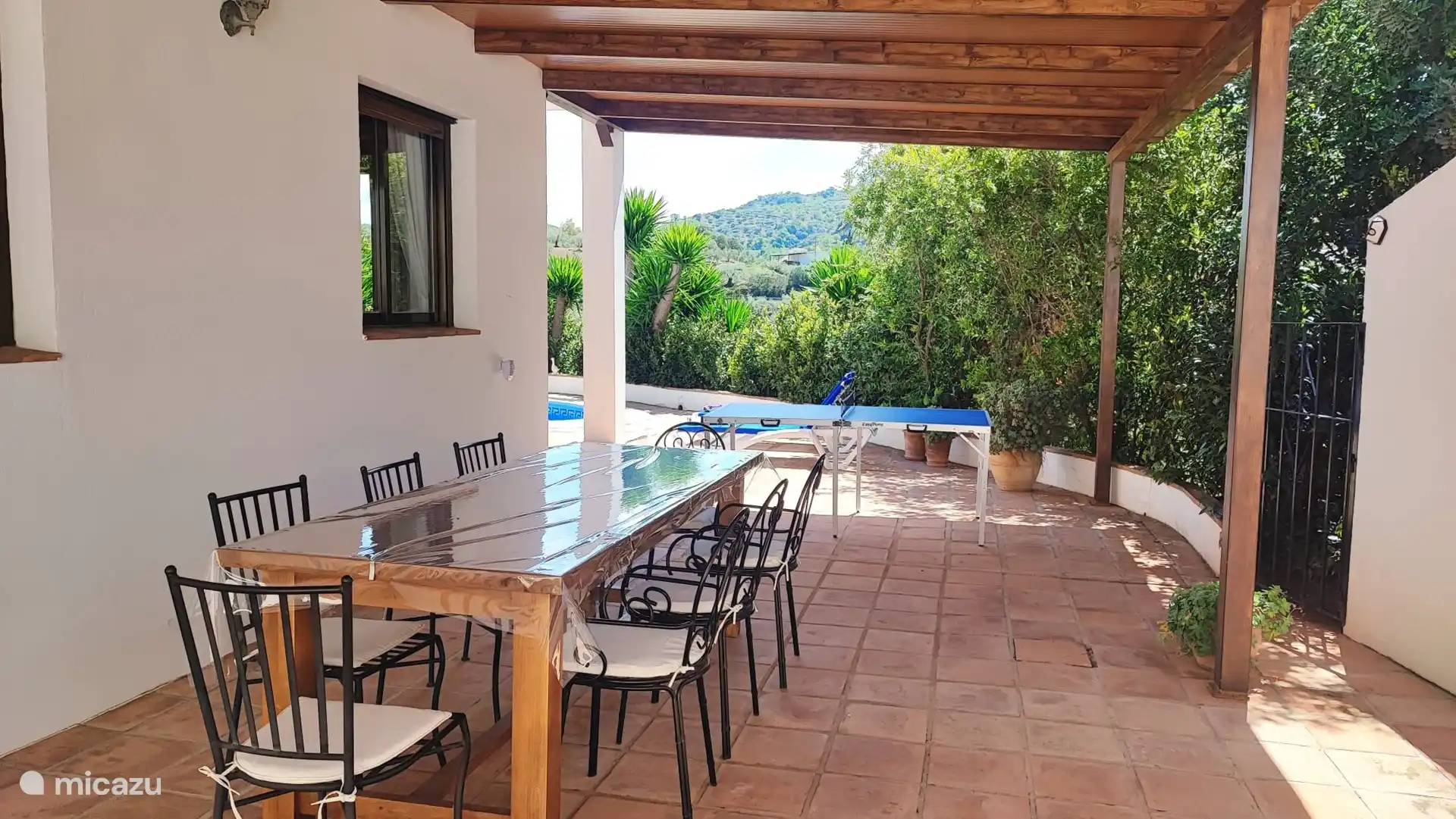 Mooie omgeving voor lunch of diner!